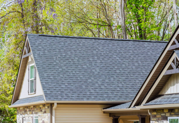 Best Solar Panel Roofing Installation  in Franklinville, NC