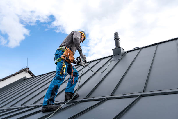 Best Roof Moss and Algae Removal  in Franklinville, NC